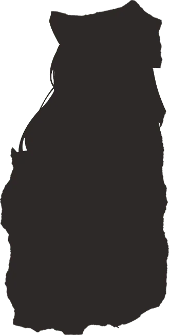 クィーン・アンズ・リベンジ